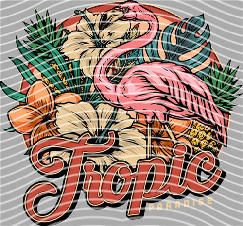 Street design-JT 4714